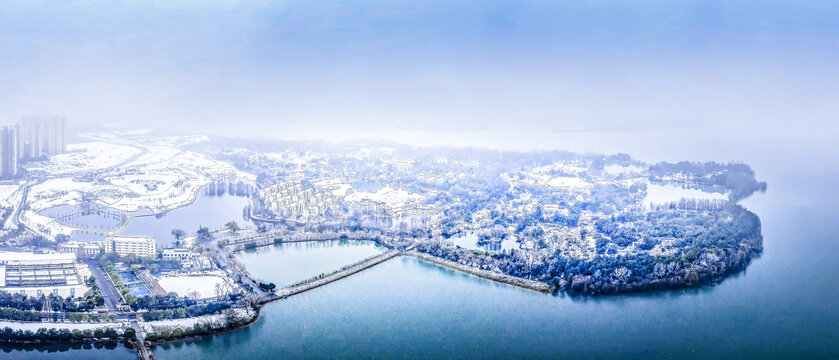 合肥植物园雪景