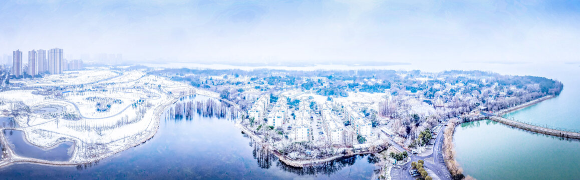 合肥植物园雪景