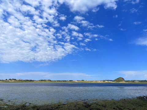 自然风景草原风光