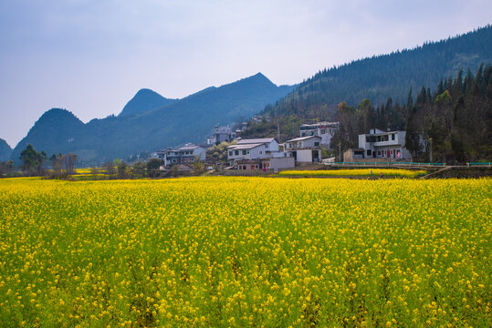 美丽乡村