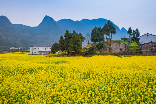 美丽乡村