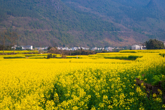 美丽乡村