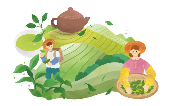 手绘茶农在茶园里采茶与山丘上的茶壶插画