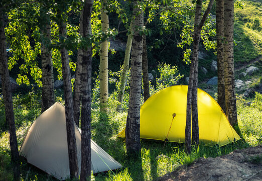 林中露营和帐篷