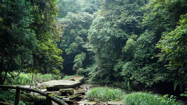 雅安碧峰峡基地