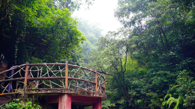 雅安碧峰峡基地