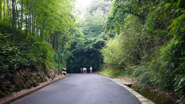 雅安碧峰峡基地