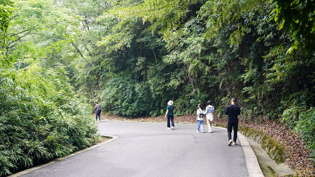 雅安碧峰峡基地