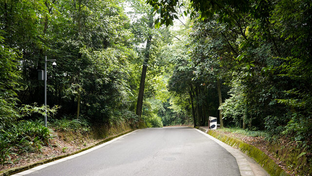 雅安碧峰峡基地