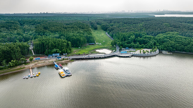 夏日里的长春净月潭公园风景