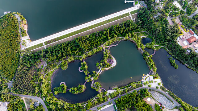 夏日里的长春净月潭公园风景