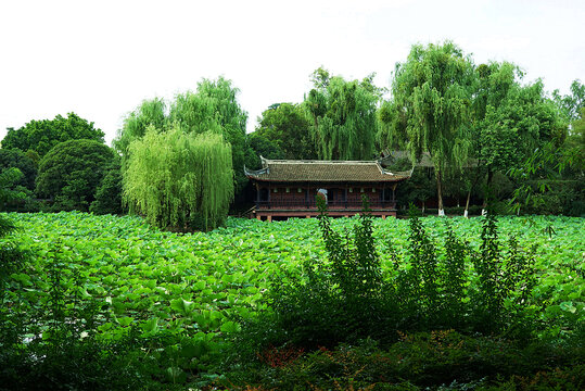 成都新都桂湖公园