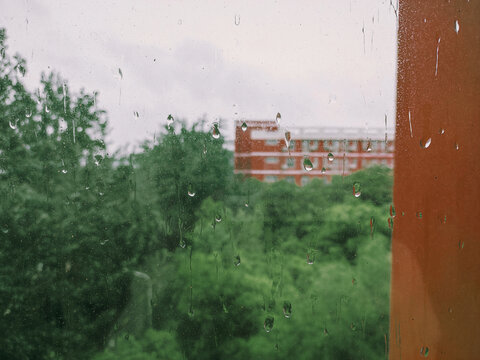 雨中窗外的绿树和红色的楼