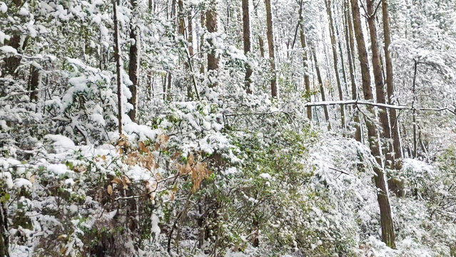 山间的雪景