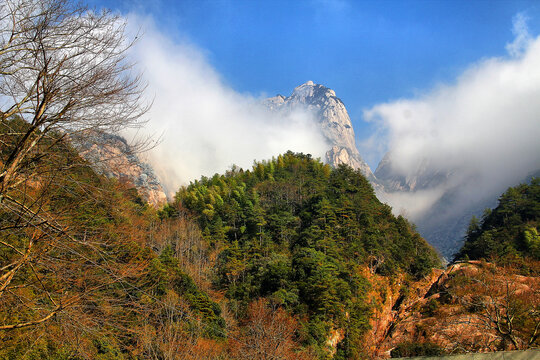 黄山云雾黄山远眺