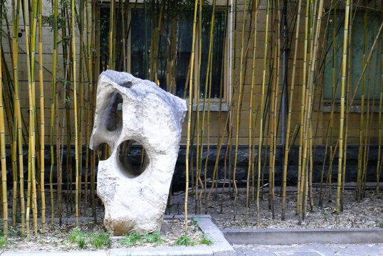 竹林奇石