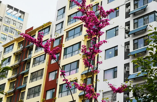 小区风景