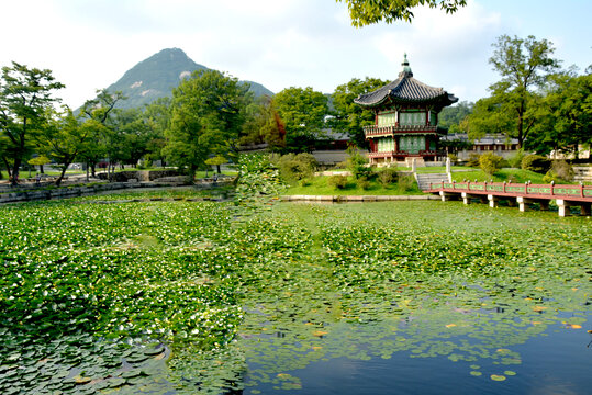 公园风景