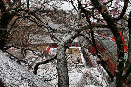 泰山顶大雪碧霞祠