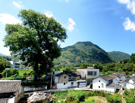 潮州凤凰山2