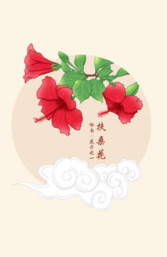 扶桑花