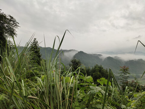 青山