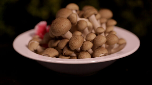 海鲜菇蟹味菇蘑菇