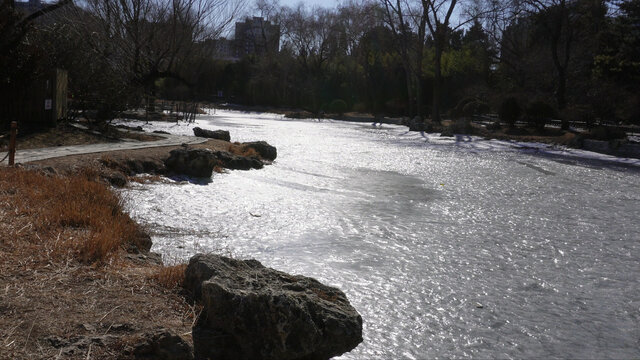 行宫紫竹院澄鲜湖冰场冰上运动