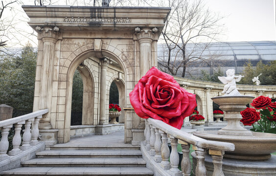 北京展览情人节玫瑰花