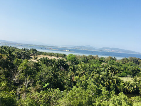 碧海蓝天海岛椰林