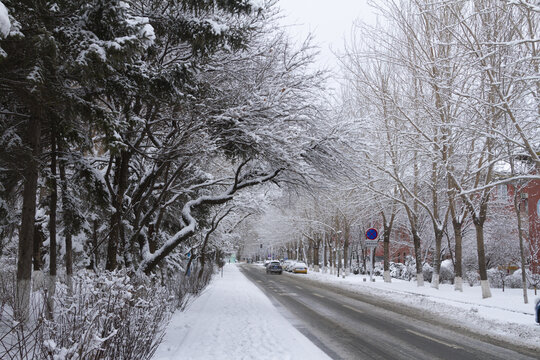雪后的长春街景