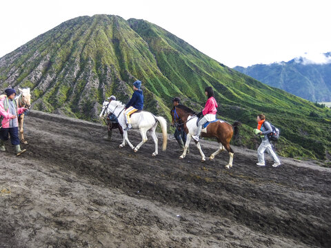 印尼布罗莫火山骑马