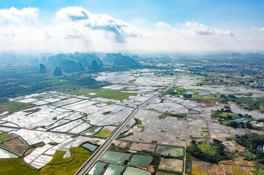 上林县万亩垌水稻基地