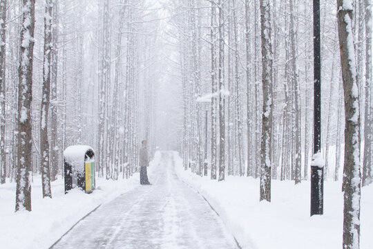 长春冬季雪景