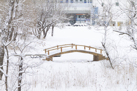 长春冬季雪景