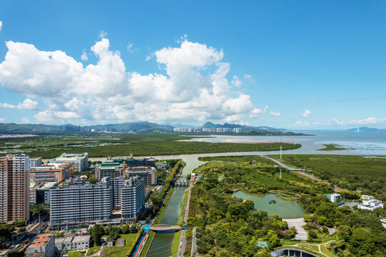 新洲河深圳河交汇入海口2