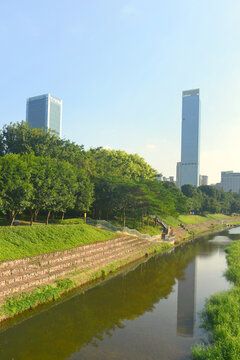 深圳中心公园福田河风光