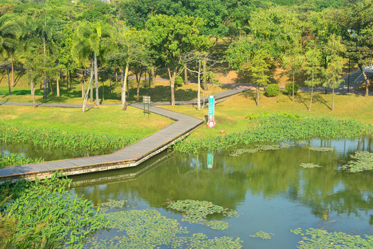 深圳中心公园景观湖及健身步道
