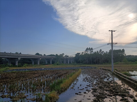 田园