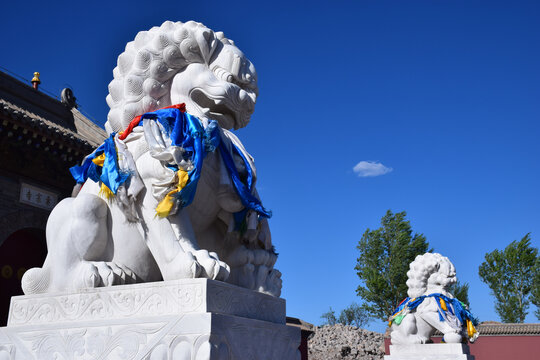 内蒙古多伦县汇宗寺石狮子