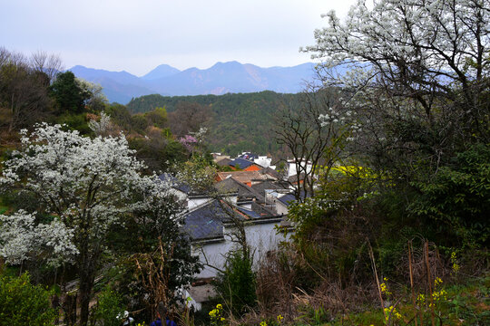 查平坦