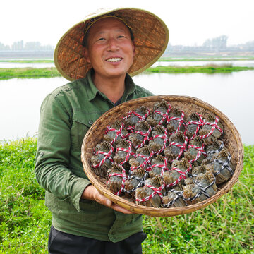 阳澄湖大闸蟹