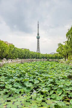 诸城龙塔