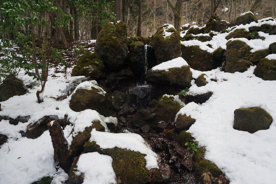 雪地里的小溪