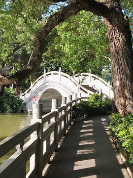 惠州琵琶桥