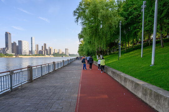 城市滨河公园绿荫跑道