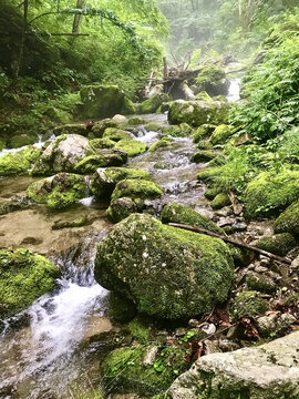 绿石小溪