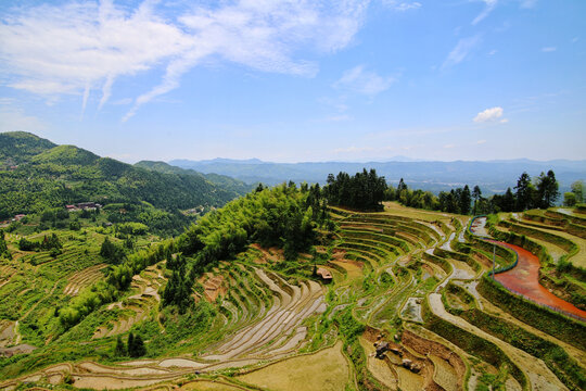 紫鹊界梯田