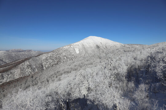 林海雪原