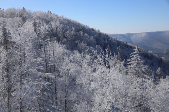 林海雪原